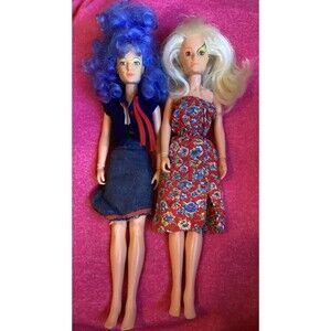 Stormer & Rocky Dolls Gem & Holograms The Misfits Vintage HASBRO Blue Hair 1985